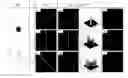 Fig. 01 - Method of analysing images of rod-like particles