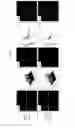 Fig. 07 - Method of analysing images of rod-like particles