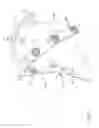 Fig. 03 - Locally applied transparency for a CT image