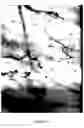 Fig. 12 - X-ray image feature detection and registration systems and methods