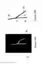 Fig. 19 - X-ray image feature detection and registration systems and methods