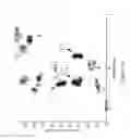 Fig. 20 - X-ray image feature detection and registration systems and methods