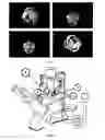 Fig. 03 - Methods for three dimensional reconstruction and determining the quality of an embryo