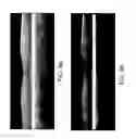 Fig. 09 - Segmentation and identification of layered structures in images