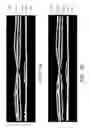 Fig. 11 - Segmentation and identification of layered structures in images