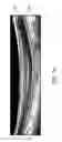 Fig. 16 - Segmentation and identification of layered structures in images