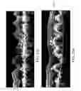 Fig. 25 - Segmentation and identification of layered structures in images