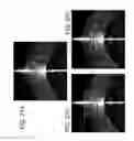 Fig. 30 - Segmentation and identification of layered structures in images