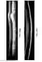 Fig. 32 - Segmentation and identification of layered structures in images