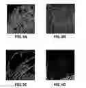 Fig. 07 - Phase transform for object and shape detection in digital images