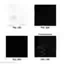 Fig. 09 - Phase transform for object and shape detection in digital images