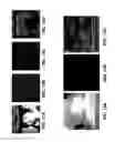 Fig. 11 - Phase transform for object and shape detection in digital images