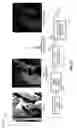Fig. 33 - Phase transform for object and shape detection in digital images