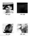 Fig. 36 - Phase transform for object and shape detection in digital images