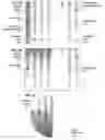 Fig. 05 - Enhanced precision background shading for digitally published text