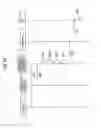 Fig. 28 - Image display system, image display method and program
