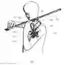 Fig. 02 - Bowed string instrument