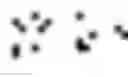 Fig. 19 - DIALOGUE APPARATUS AND METHOD
