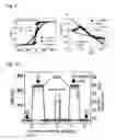 Fig. 06 - Underlayer for perpendicularly magnetized film, perpendicularly magnetized film structure, perpendicular MTJ element, and perpendicular magnetic recording medium using the same