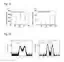 Fig. 08 - Underlayer for perpendicularly magnetized film, perpendicularly magnetized film structure, perpendicular MTJ element, and perpendicular magnetic recording medium using the same