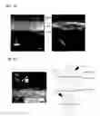 Fig. 12 - Underlayer for perpendicularly magnetized film, perpendicularly magnetized film structure, perpendicular MTJ element, and perpendicular magnetic recording medium using the same