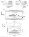 Fig. 03 - Magnetic junctions having elongated free layers