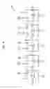 Fig. 07 - Memory device having latency control circuit for controlling data write and read latency