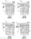 Fig. 02 - Scan compression architecture for highly compressed designs and associated methods