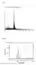 Fig. 06 - SILVER-COATED COPPER NANOWIRE AND PREPARATION METHOD THEREFOR