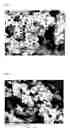 Fig. 08 - SILVER-COATED COPPER NANOWIRE AND PREPARATION METHOD THEREFOR