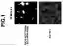 Fig. 02 - R-(Fe, Co)-B sintered magnet and making method