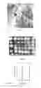Fig. 17 - Systems and methods for using multimodal imaging to determine structure and atomic composition of specimens