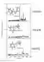 Fig. 20 - Systems and methods for using multimodal imaging to determine structure and atomic composition of specimens