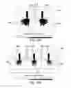 Fig. 15 - Plasma device driven by multiple-phase alternating or pulsed electrical current