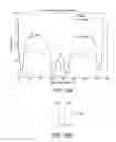 Fig. 16 - Plasma device driven by multiple-phase alternating or pulsed electrical current
