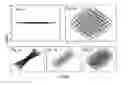 Fig. 03 - SYSTEM AND METHOD FOR REDUCING THE SPACE CHARGE EFFECT IN A LINEAR ION TRAP