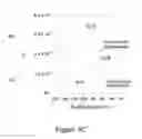Fig. 17 - Treatment to control deposition rate