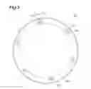 Fig. 04 - Placing table and plasma treatment apparatus