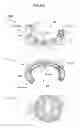 Fig. 07 - Power feeding mechanism and method for controlling temperature of a stage