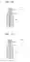 Fig. 15 - SPIN HEAD, APPARATUS AND METHOD FOR TREATING A SUBSTRATE INCLUDING THE SPIN HEAD