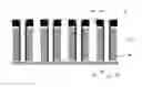 Fig. 01 - FinFET devices