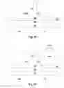 Fig. 05 - Methods and structrues of novel contact feature