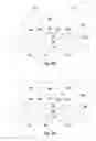 Fig. 09 - Methods and structrues of novel contact feature