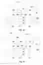 Fig. 10 - Methods and structrues of novel contact feature