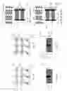 Fig. 03 - Non-volatile memory device containing oxygen-scavenging material portions and method of making thereof