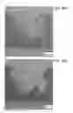 Fig. 41 - Semiconductor film, transistor, semiconductor device, display device, and electronic appliance
