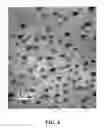 Fig. 08 - Methods for treating a polycarbonate glass surface and forming directed hierarchical nanopatterning and increasing hydrophobicity
