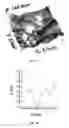Fig. 27 - Methods for treating a polycarbonate glass surface and forming directed hierarchical nanopatterning and increasing hydrophobicity