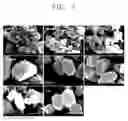 Fig. 04 - Titanium oxide having hexagonal column shape, method of fabricating the same, solar cell including the same, and method of fabricating solar cell including the same
