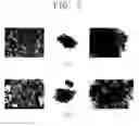 Fig. 06 - Titanium oxide having hexagonal column shape, method of fabricating the same, solar cell including the same, and method of fabricating solar cell including the same